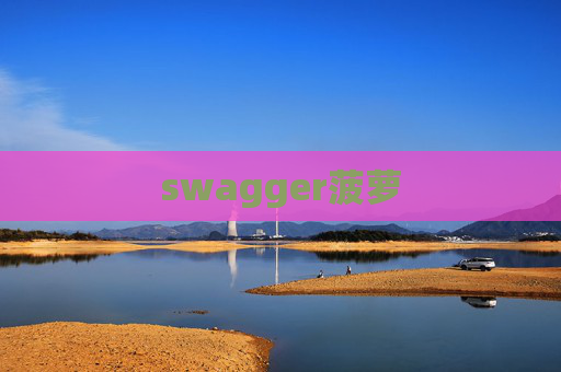 swagger菠萝